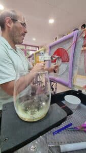 una actividad relajante con vivo